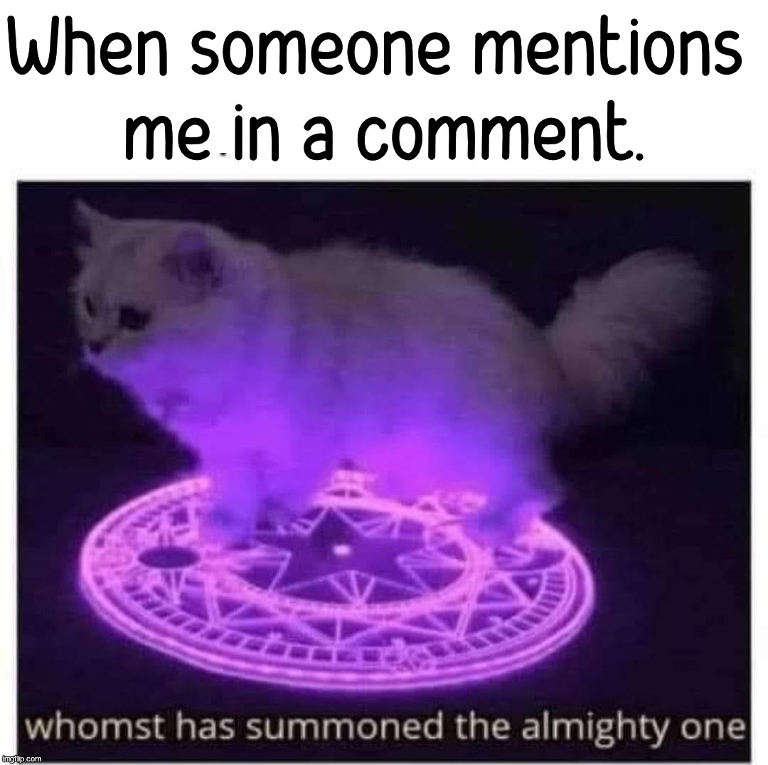 When someone mentions 
me in a comment. | image tagged in who_am_i | made w/ Imgflip meme maker
