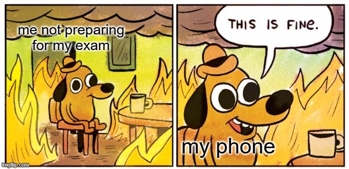 dis is not fine | me not preparing for my exam; my phone | image tagged in memes,this is fine | made w/ Imgflip meme maker