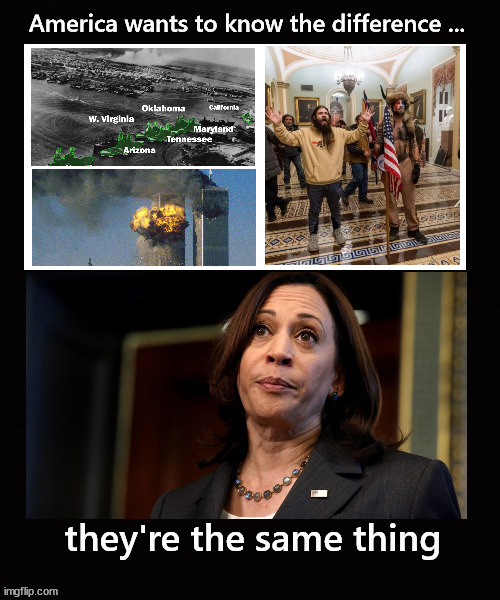 They are the same thing; Kamala Harris | image tagged in they're the same kamala harris | made w/ Imgflip meme maker