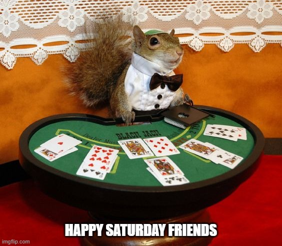 SQUIRRELS | HAPPY SATURDAY FRIENDS | image tagged in squirrels | made w/ Imgflip meme maker