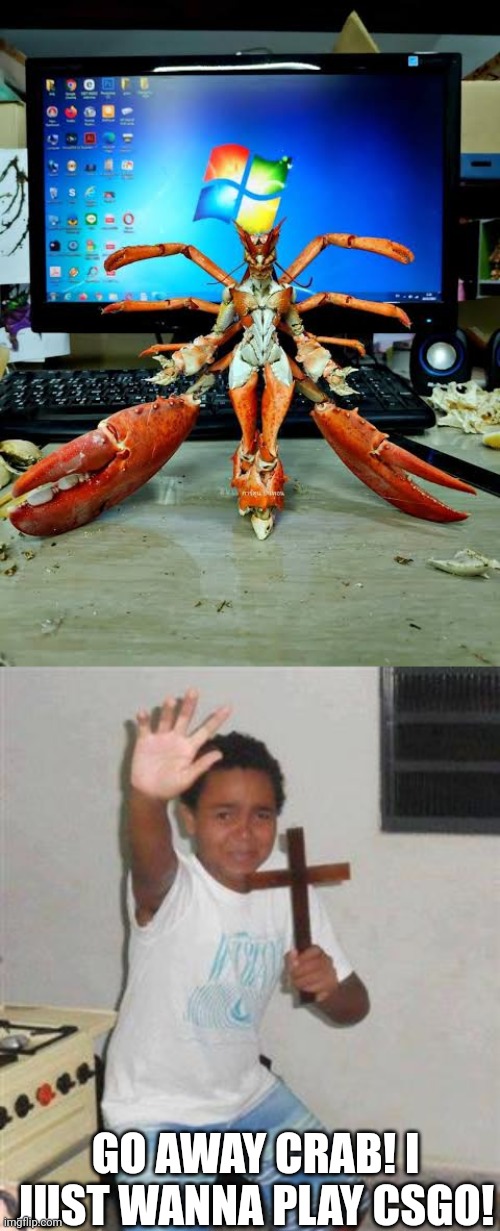 Quintessa, the lord of crabs (btw just search boss fight) | GO AWAY CRAB! I JUST WANNA PLAY CSGO! | image tagged in scared kid,boss fight | made w/ Imgflip meme maker