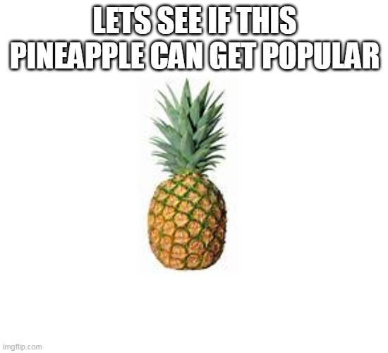 lets see | LETS SEE IF THIS PINEAPPLE CAN GET POPULAR | image tagged in funny,he lives in a pineapple under the sea,memes,cats,all lives matter | made w/ Imgflip meme maker