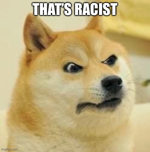 angry doge | THAT’S RACIST | image tagged in angry doge | made w/ Imgflip meme maker
