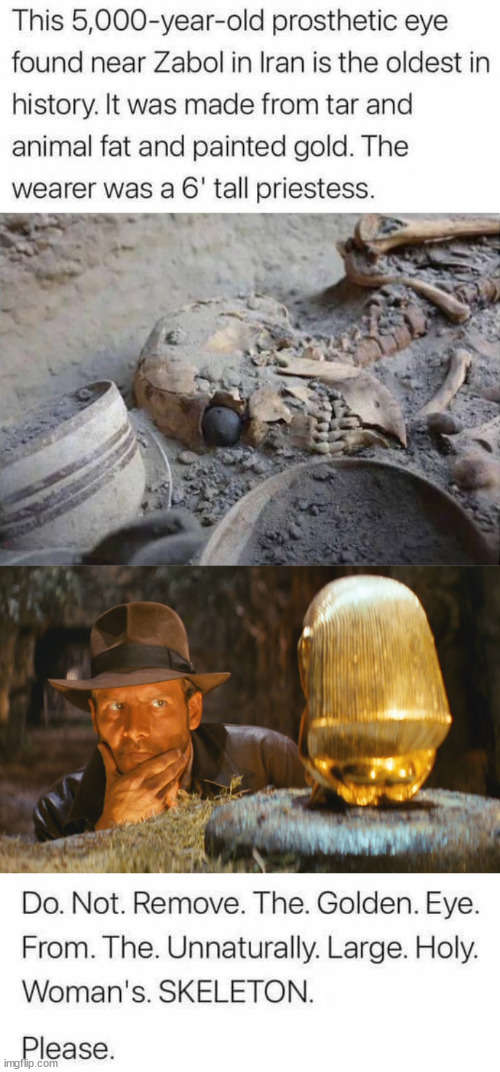 image tagged in indiana jones idol | made w/ Imgflip meme maker