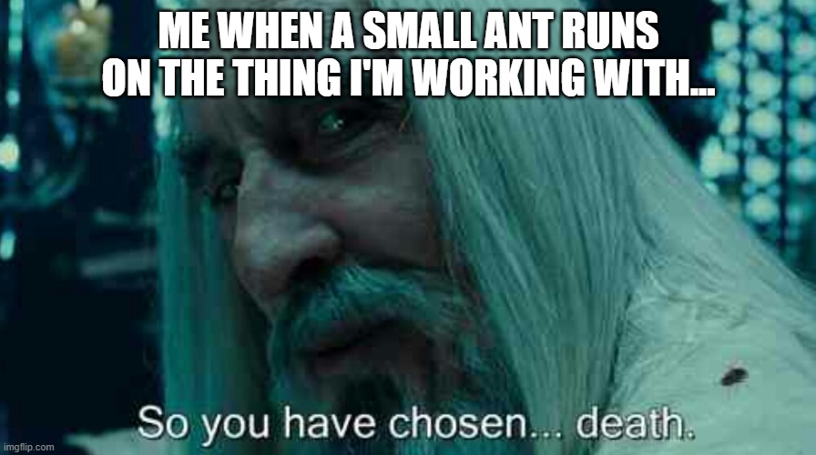 So you have chosen death | ME WHEN A SMALL ANT RUNS ON THE THING I'M WORKING WITH... | image tagged in so you have chosen death | made w/ Imgflip meme maker