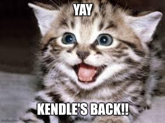 *super happiness* | YAY; KENDLE'S BACK!! | image tagged in happy cat | made w/ Imgflip meme maker