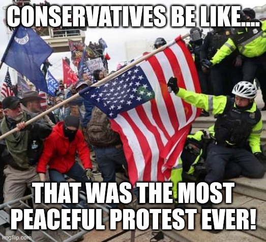 Trumpanzee confusion | CONSERVATIVES BE LIKE.... THAT WAS THE MOST PEACEFUL PROTEST EVER! | image tagged in trump supporter,conservative,election 2020,democrat,january,republican | made w/ Imgflip meme maker