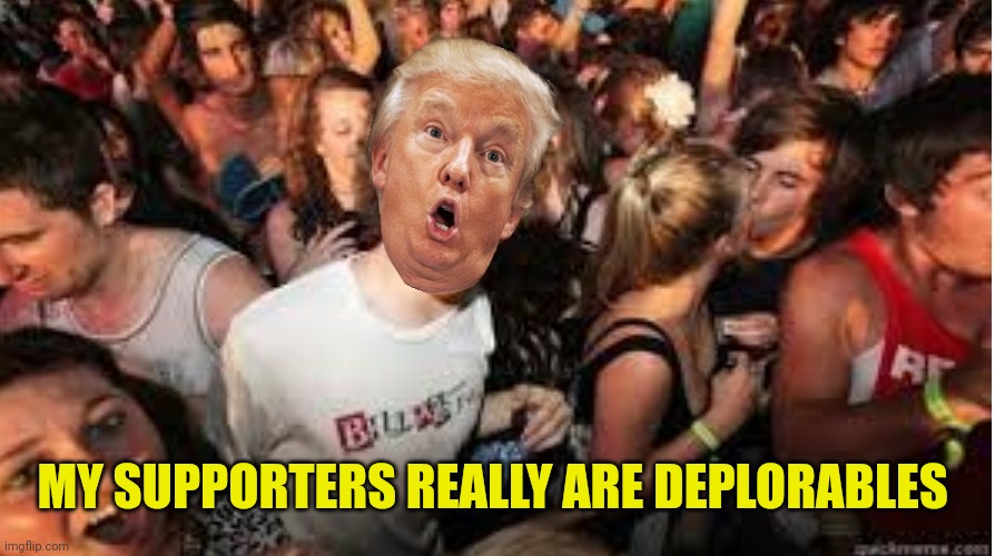 Diaper don epiphany | MY SUPPORTERS REALLY ARE DEPLORABLES | image tagged in suddenly clear donald | made w/ Imgflip meme maker