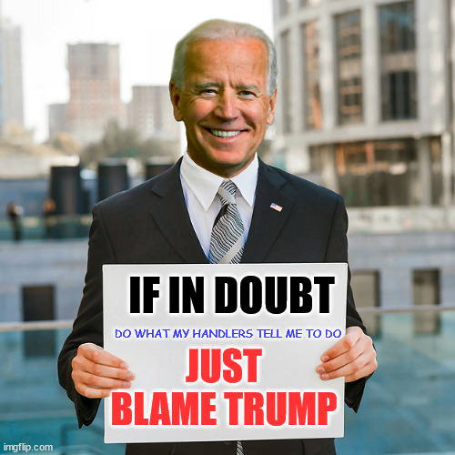 Joe Biden Blank Sign | IF IN DOUBT JUST BLAME TRUMP DO WHAT MY HANDLERS TELL ME TO DO | image tagged in joe biden blank sign | made w/ Imgflip meme maker