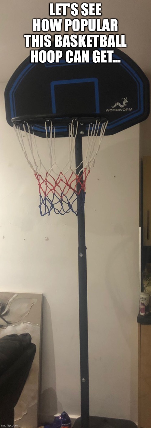 LET’S SEE HOW POPULAR THIS BASKETBALL HOOP CAN GET… | image tagged in basketball,basketball meme | made w/ Imgflip meme maker