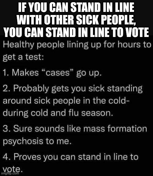 Let's stop with all the ignorance and start using our heads. | IF YOU CAN STAND IN LINE WITH OTHER SICK PEOPLE, YOU CAN STAND IN LINE TO VOTE | image tagged in covid-19,coronavirus,china virus,ignorance | made w/ Imgflip meme maker