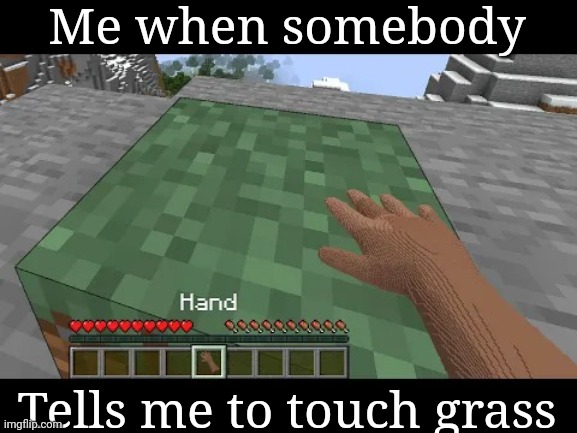 Hand touching Minecraft grass block | Me when somebody Tells me to touch grass | image tagged in hand touching minecraft grass block | made w/ Imgflip meme maker