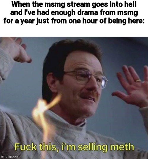 When the msmg stream goes into hell and I've had enough drama from msmg for a year just from one hour of being here: | image tagged in spire is a dumbass,spread the tag lmao | made w/ Imgflip meme maker