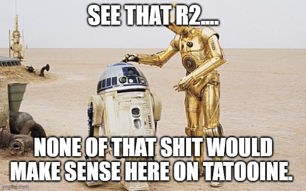 R2D2 & C3PO | SEE THAT R2.... NONE OF THAT SHIT WOULD MAKE SENSE HERE ON TATOOINE. | image tagged in r2d2 c3po | made w/ Imgflip meme maker