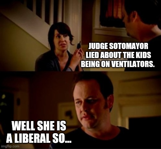 Lying liberals. | JUDGE SOTOMAYOR LIED ABOUT THE KIDS BEING ON VENTILATORS. WELL SHE IS A LIBERAL SO... | image tagged in jake from state farm | made w/ Imgflip meme maker