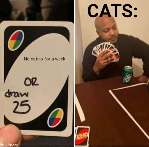 UNO Draw 25 Cards Meme | CATS:; No catnip for a week | image tagged in memes,uno draw 25 cards | made w/ Imgflip meme maker