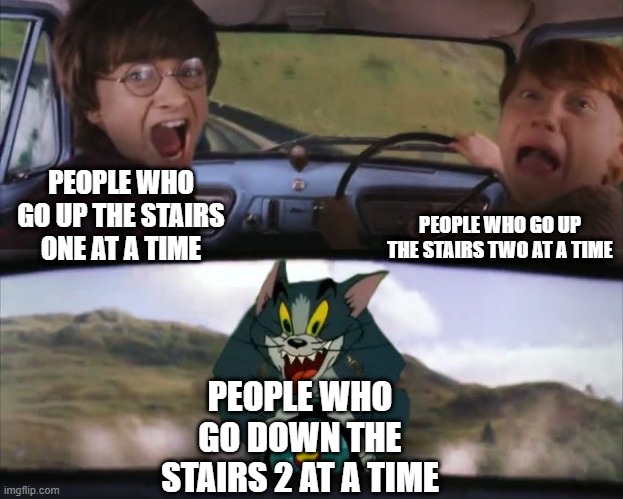 funny title ig | PEOPLE WHO GO UP THE STAIRS TWO AT A TIME; PEOPLE WHO GO UP THE STAIRS ONE AT A TIME; PEOPLE WHO GO DOWN THE STAIRS 2 AT A TIME | image tagged in tom chasing harry and ron weasly,harry potter,scream | made w/ Imgflip meme maker