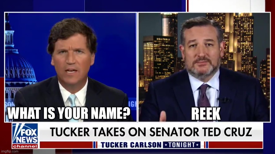 Reek on Fox | REEK; WHAT IS YOUR NAME? | image tagged in meme | made w/ Imgflip meme maker