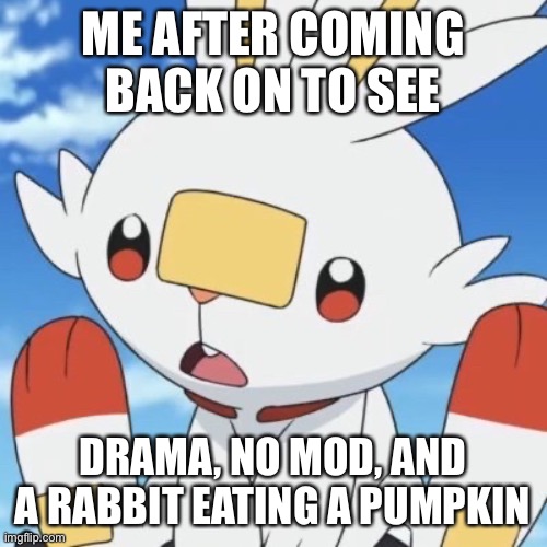 ME AFTER COMING BACK ON TO SEE; DRAMA, NO MOD, AND A RABBIT EATING A PUMPKIN | made w/ Imgflip meme maker