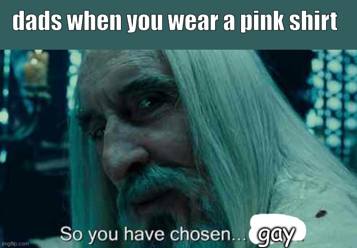 So you have chosen death | dads when you wear a pink shirt; gay | image tagged in so you have chosen death | made w/ Imgflip meme maker