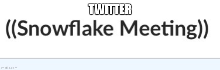 Also where mod | TWITTER | image tagged in snowflake meeting | made w/ Imgflip meme maker