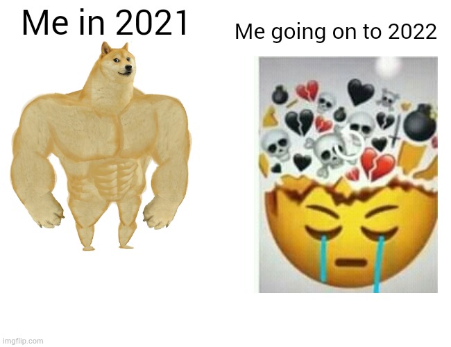 I made good memories and bad memories with 2021 but still old is gold |  Me going on to 2022; Me in 2021 | image tagged in memes,buff doge vs cheems,2021 | made w/ Imgflip meme maker