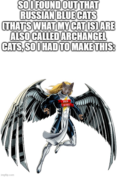 I had to | SO I FOUND OUT THAT RUSSIAN BLUE CATS (THAT'S WHAT MY CAT IS) ARE ALSO CALLED ARCHANGEL CATS, SO I HAD TO MAKE THIS: | image tagged in blank white template | made w/ Imgflip meme maker