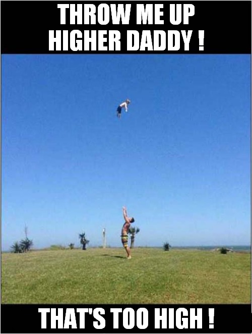 That's An Impressive Altitude Sir ! | THROW ME UP HIGHER DADDY ! THAT'S TOO HIGH ! | image tagged in father and son,altitude,too damn high | made w/ Imgflip meme maker