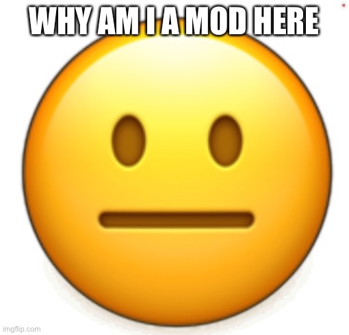 Dang bro.. | WHY AM I A MOD HERE | image tagged in dang bro | made w/ Imgflip meme maker