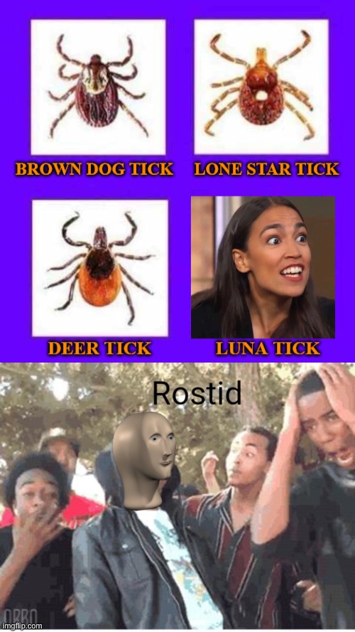 DAMN | image tagged in meme man rostid,crazy aoc,politics,oh wow are you actually reading these tags | made w/ Imgflip meme maker