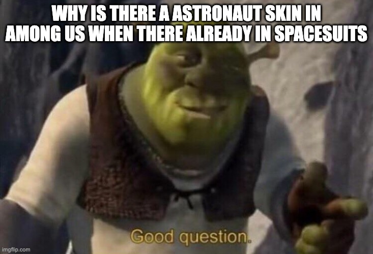 Shrek good question | WHY IS THERE A ASTRONAUT SKIN IN AMONG US WHEN THERE ALREADY IN SPACESUITS | image tagged in shrek good question | made w/ Imgflip meme maker