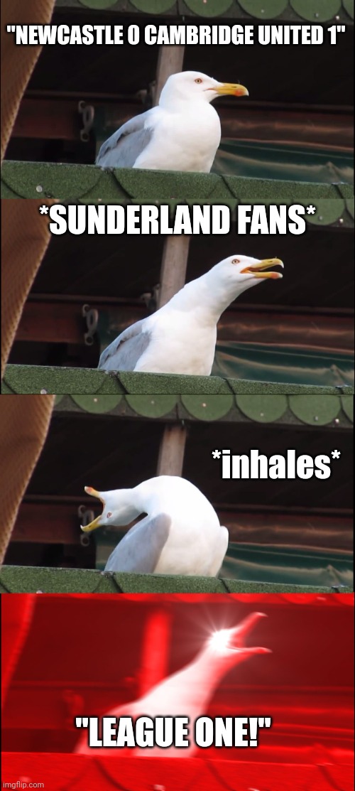 Inhaling Seagull Meme | "NEWCASTLE 0 CAMBRIDGE UNITED 1"; *SUNDERLAND FANS*; *inhales*; "LEAGUE ONE!" | image tagged in memes,inhaling seagull | made w/ Imgflip meme maker