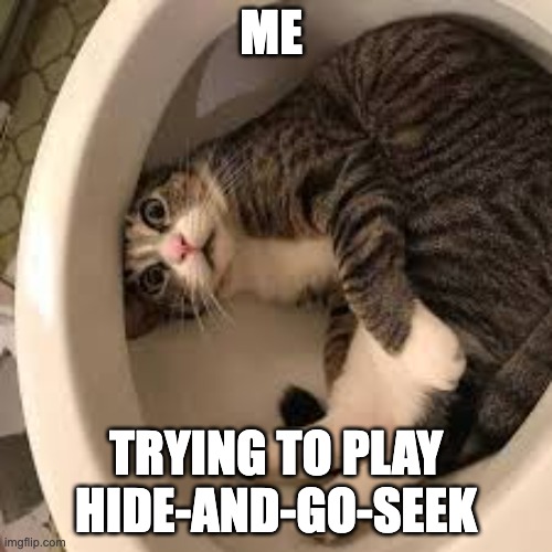 funny cat in toilet | ME; TRYING TO PLAY HIDE-AND-GO-SEEK | image tagged in funny cat in toilet | made w/ Imgflip meme maker