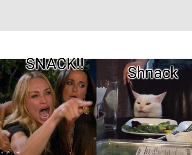 Woman Yelling At Cat | SNACK!! Shnack | image tagged in memes,woman yelling at cat | made w/ Imgflip meme maker