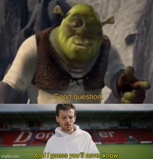 image tagged in shrek good question,and i guess you'll never know | made w/ Imgflip meme maker