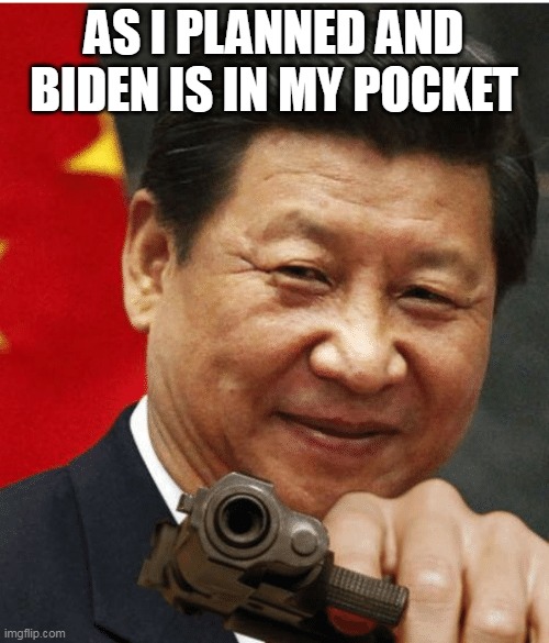 Xi Jinping | AS I PLANNED AND BIDEN IS IN MY POCKET | image tagged in xi jinping | made w/ Imgflip meme maker