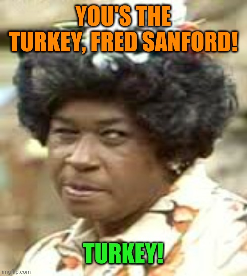 aunt ester | YOU'S THE TURKEY, FRED SANFORD! TURKEY! | image tagged in aunt ester | made w/ Imgflip meme maker