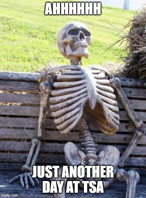 airport |  AHHHHHH; JUST ANOTHER DAY AT TSA | image tagged in memes,waiting skeleton,funny | made w/ Imgflip meme maker