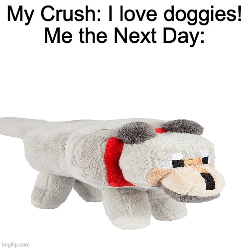 Doggie | My Crush: I love doggies!
Me the Next Day: | image tagged in memes,blank transparent square,minecraft | made w/ Imgflip meme maker