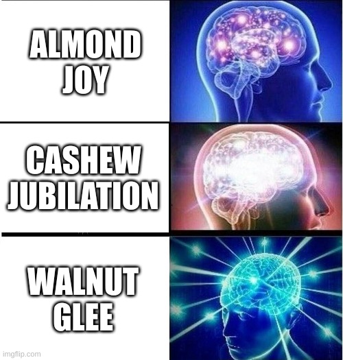 Walnut Glee | ALMOND JOY; CASHEW JUBILATION; WALNUT GLEE | image tagged in expanding brain 3 panels | made w/ Imgflip meme maker