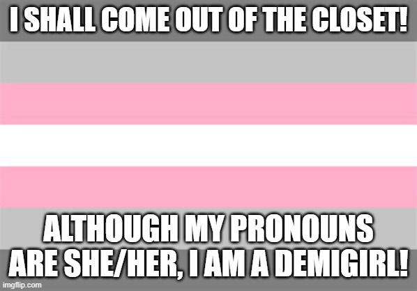ye | I SHALL COME OUT OF THE CLOSET! ALTHOUGH MY PRONOUNS ARE SHE/HER, I AM A DEMIGIRL! | image tagged in demigirl flag | made w/ Imgflip meme maker