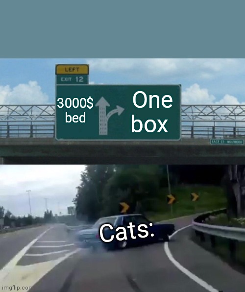 Left Exit 12 Off Ramp | 3000$ bed; One box; Cats: | image tagged in memes,left exit 12 off ramp | made w/ Imgflip meme maker