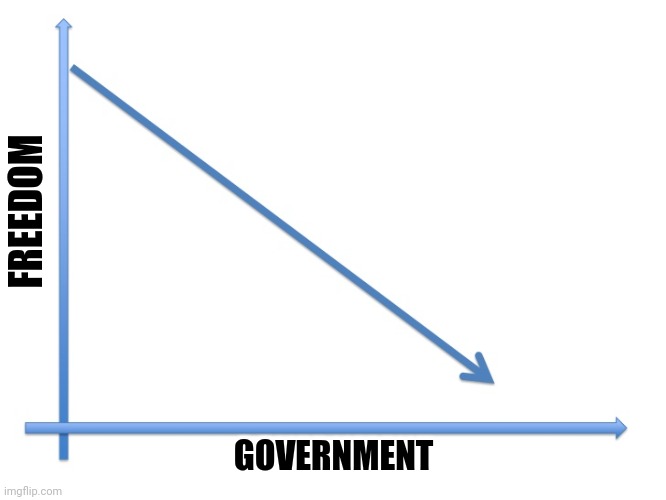 Government vs Freedom | FREEDOM; GOVERNMENT | image tagged in downward line graph | made w/ Imgflip meme maker