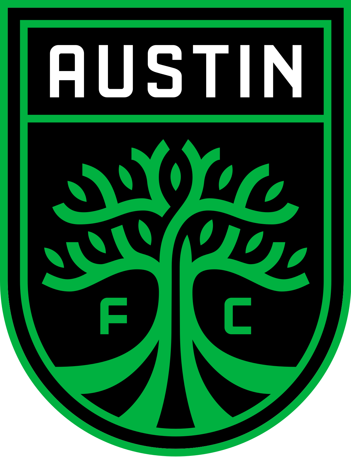 Austin FC Blank Meme Template