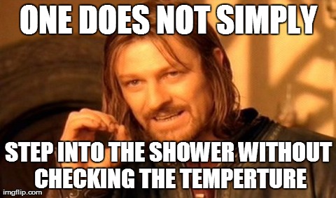 One Does Not Simply Meme | ONE DOES NOT SIMPLY STEP INTO THE SHOWER WITHOUT CHECKING THE TEMPERTURE | image tagged in memes,one does not simply,AdviceAnimals | made w/ Imgflip meme maker