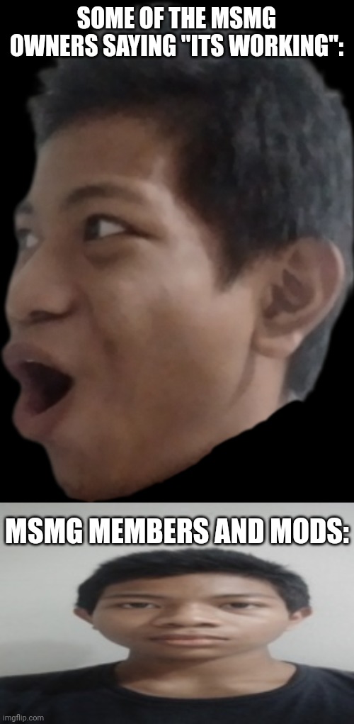 SOME OF THE MSMG OWNERS SAYING "ITS WORKING":; MSMG MEMBERS AND MODS: | image tagged in akifhaziq pog,akif | made w/ Imgflip meme maker