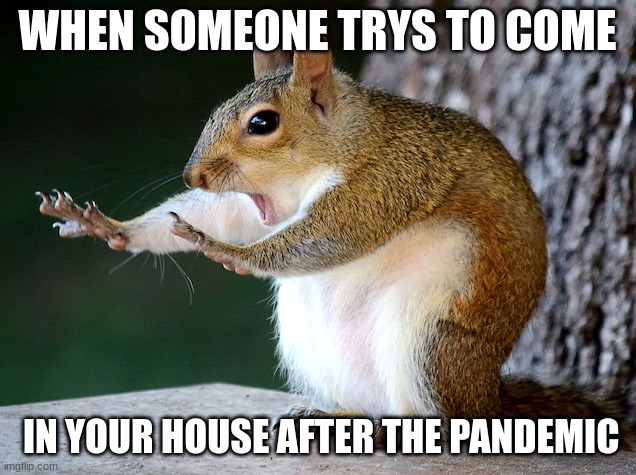 WHEN SOMEONE TRYS TO COME; IN YOUR HOUSE AFTER THE PANDEMIC | image tagged in funny animals | made w/ Imgflip meme maker