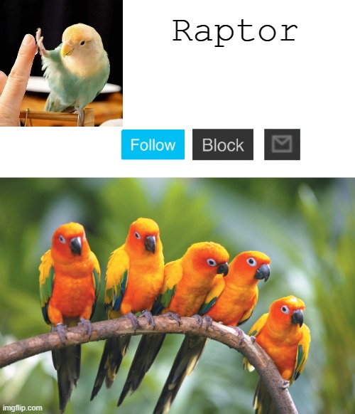 Raptor | made w/ Imgflip meme maker