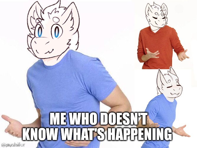 Fluffy dragon: IDK | ME WHO DOESN'T KNOW WHAT'S HAPPENING | image tagged in fluffy dragon idk | made w/ Imgflip meme maker