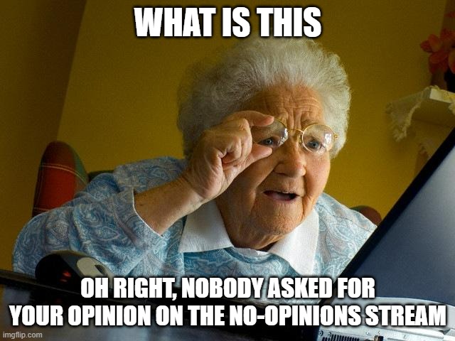 ba ba bing | WHAT IS THIS; OH RIGHT, NOBODY ASKED FOR YOUR OPINION ON THE NO-OPINIONS STREAM | image tagged in memes,grandma finds the internet | made w/ Imgflip meme maker